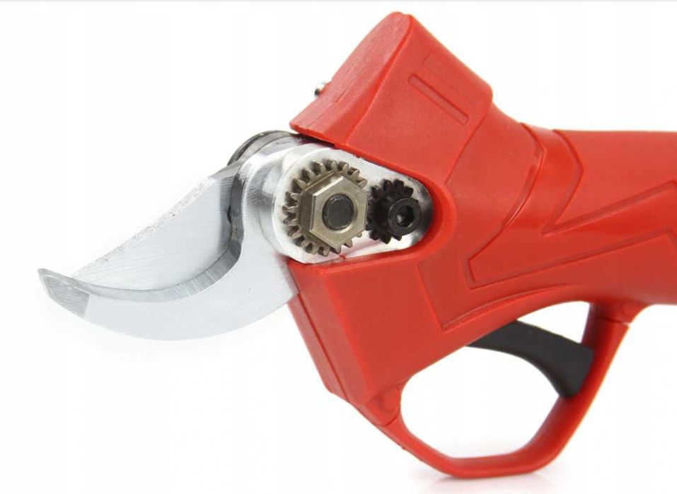 image (1) image 1 131