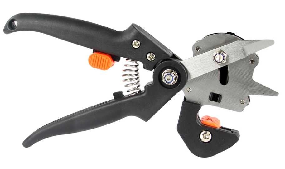 image (3) image 3 100