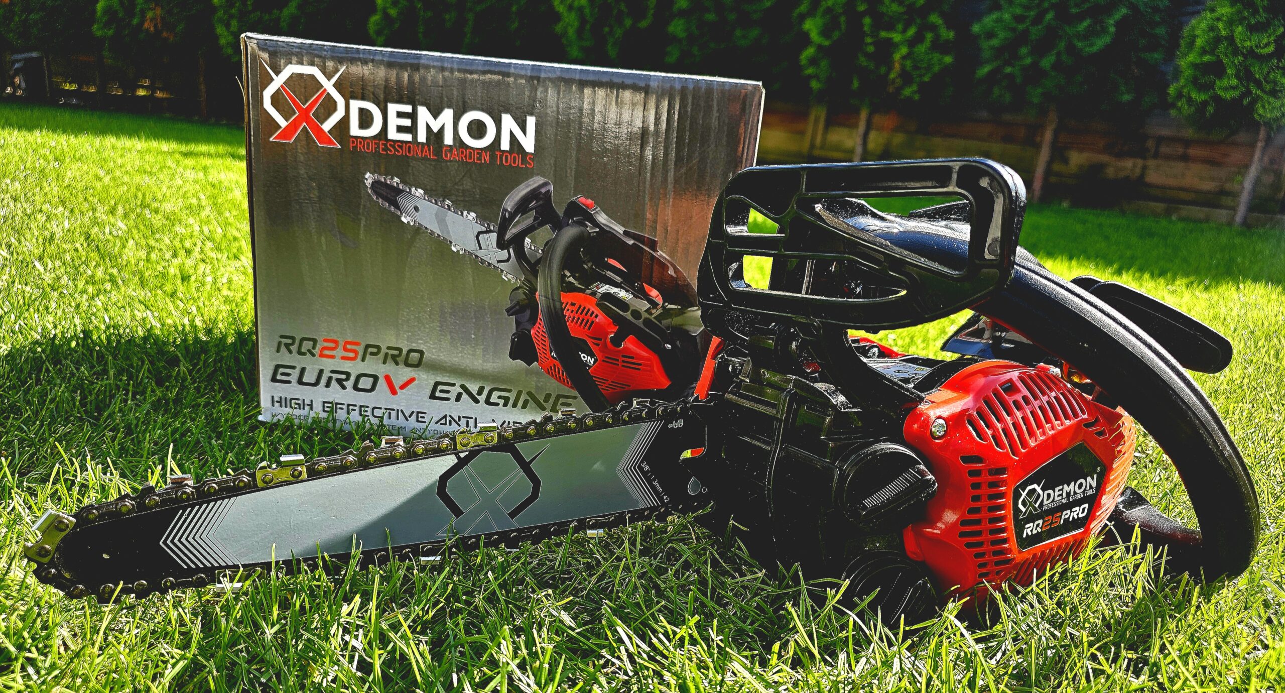 20250828_145212 20250828 145212 scaled